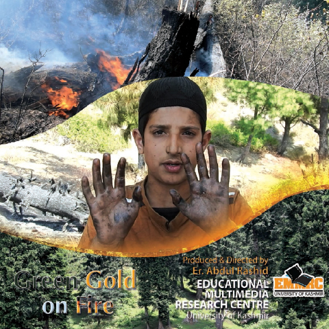 Green Gold on Fire (Forest Fires)
